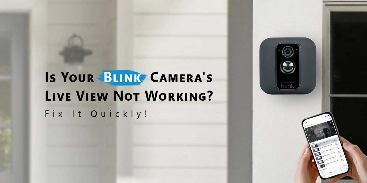 Blink Camera Live View